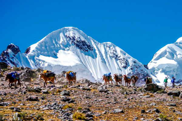 Salkantay peak